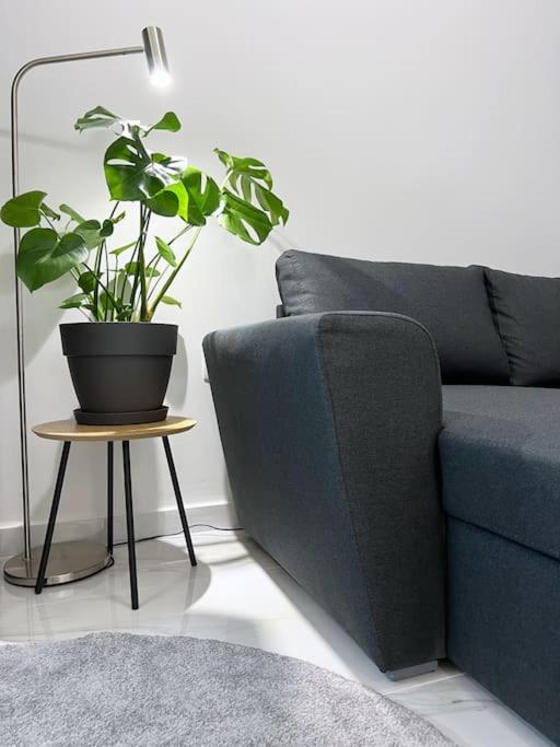 Urban Luxury In The Heart Of Skg
